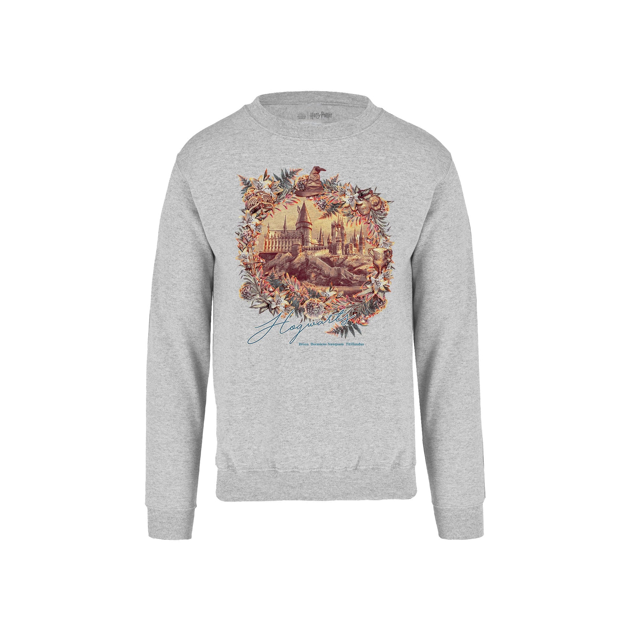 Sudadera Harry Potter - Draco Dormiens