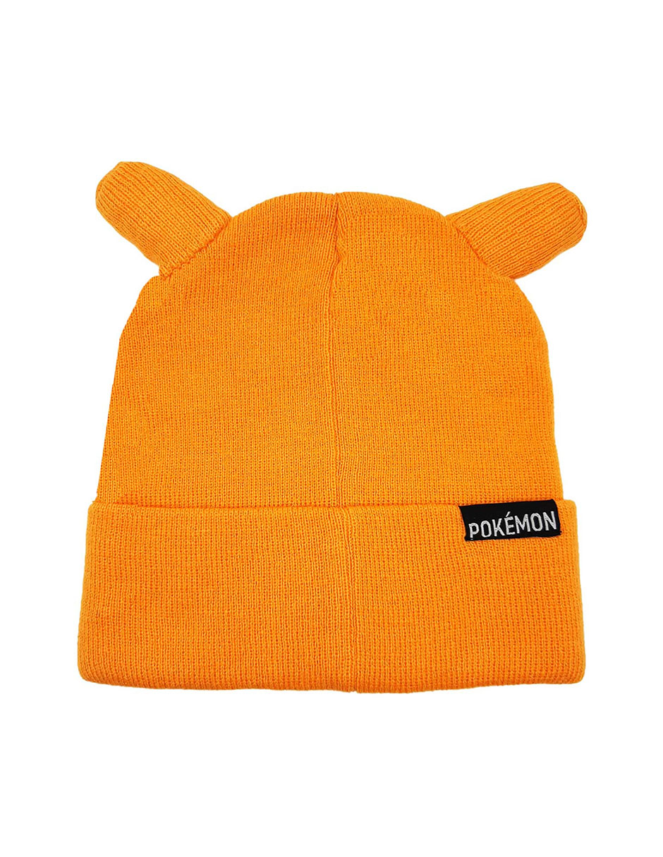 Beanie Charizard