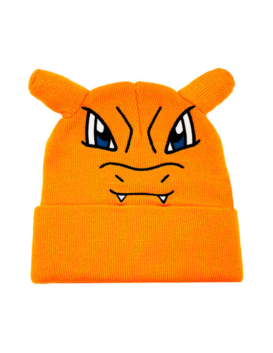 Beanie Charizard