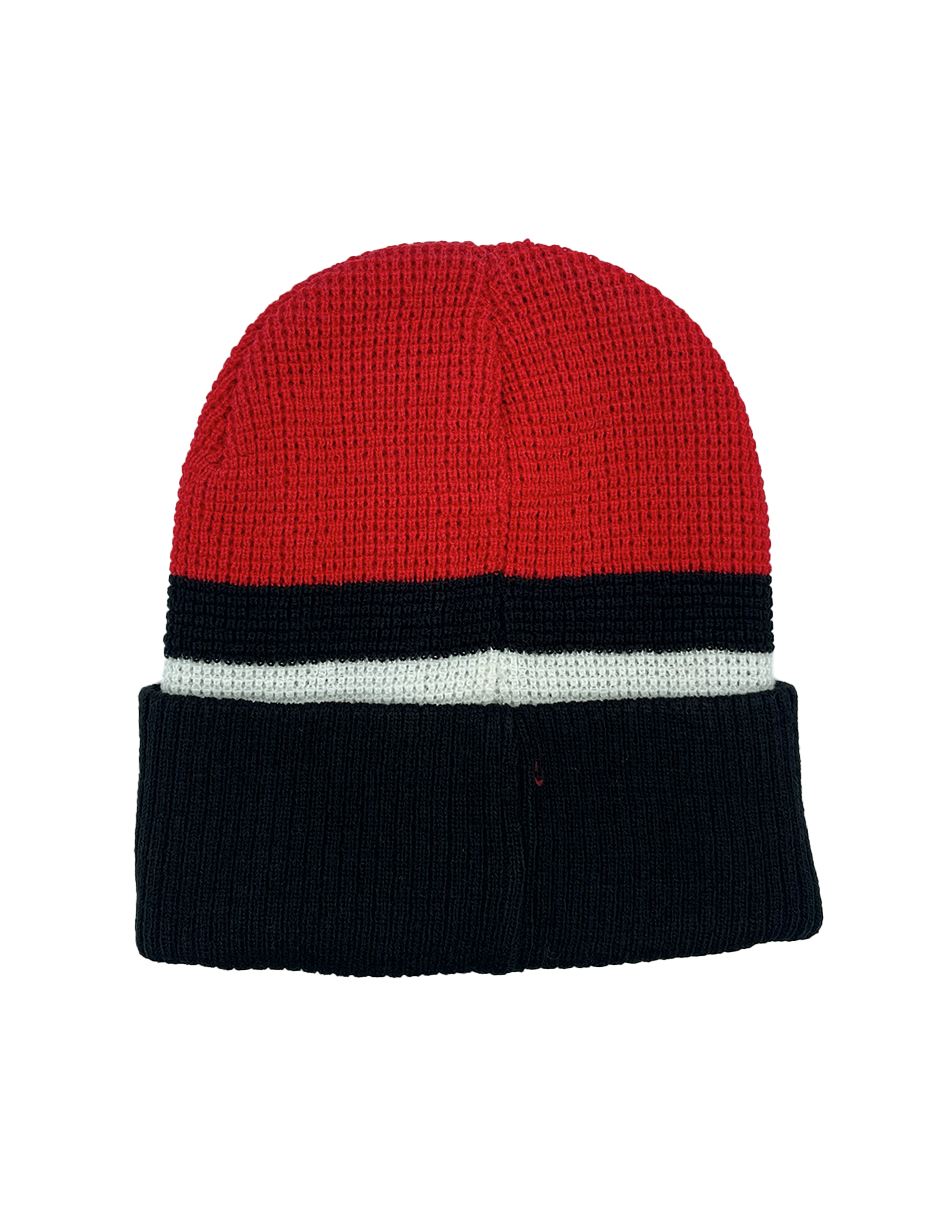 Beanie Pokemon Tricolor con Pokebola